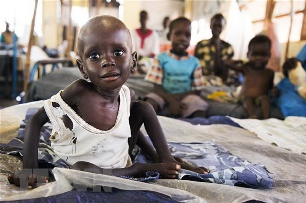 Vietnam chairs UNSC session on South Sudan